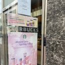 블루밍 | 스타벅스 벚꽃 MD 2026 체리블라썸 블루밍 텀블러 실물 후기 구매 팁