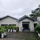 솔리,자운 이미지