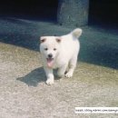 샘골농장 이미지