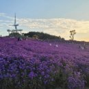 해와별여행 이미지