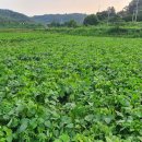 진규농장 이미지