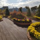 마전동행정복지센터(2) 이미지