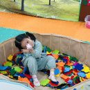 꽃뿐이네 이미지