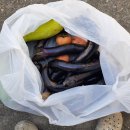 강림주유소 이미지