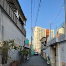 순천 애견동반 한옥 감성 카페 추천 크로커스 대형견 가능