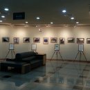 신탄진평생학습도서관 이미지