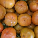 맹동우체국 이미지