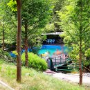 빈이벤트 | [레다이벤트발표] 홍천산으로캠핑장 2박 체험권