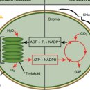 보국환경 이미지