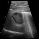 관양동물병원 이미지