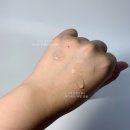비타앤트리