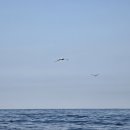 마실나들이 이미지