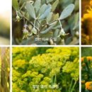 소담빌라 이미지