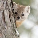 향토집굴국밥 이미지