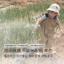 한계농장 | 캠핑용품 추천 플라넥스 무선폴딩 워터포켓 주말농장 사용후기