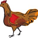 닭 씨리즈 이미지