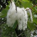 사평우체국 이미지