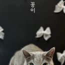 이츠펫 살롱 이미지