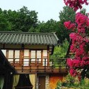 산에는꽃이피네 이미지