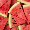 웰튼동물의료센터 이미지