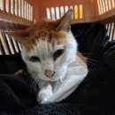 은산3길 이미지