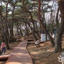 인어공원 화장실 이미지
