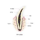 미사다나을동물병원 네이버블로그