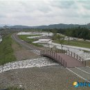 금호강영천 이미지