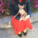 개포별빛동물병원 이미지