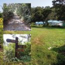 백석4리 이미지