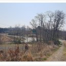 웅천삼거리 이미지