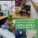 참다한홍삼용인 | 홍삼⬆️⬆️⬆️ #홍삼스틱구입처 #온체식홍삼 후기 #참다한홍삼스틱 #참다한탑클래스 #참다한프리미엄마일드...