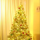 계양센트럴프라자바이라움 이미지