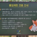 멍바라기 이미지