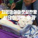 11500-12-15-105 | 치앙마이 1일차 | 일요일 마켓 4개 뿌시기 네 번째 선데이마켓 총정리 길거리 음식, 쇼핑 리스트, 사원...