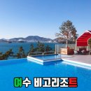 비고리조트 11 이미지