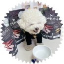 주식회사 알파사료 | [국개대표] 올바른끼니 알파 기호성 최강 강아지관절사료 찐추천!!