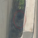 [리뷰] 에어컨 실외기 새 둥지의 위험요소, 셀프 처리 방법 및 후기