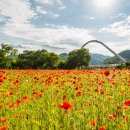 해나의정원 이미지