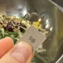 목동 삼겹살 임대장 오목교점 내돈내산 맛있게 먹은 후기