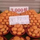 으뜸50안경천안탕정점 | 마지막 블챌