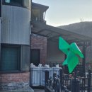 단풍펜션 | 구례펜션 [땅콩펜션] 단풍 제대로 물든 풍경 속 힐링 여행 후기