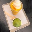 [제주] 왕 방 갑서🍊(안덕2편)(오설록 티뮤지엄)(내돈내산)