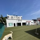 썸바디 독스 이미지