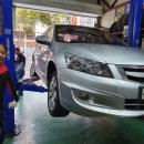 카젠(황금점) 이미지