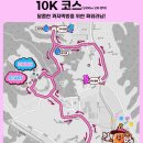 수뿔마을 | 2025년 꽈자런 10km 후기
