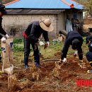 서천소방서-50 이미지