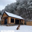 보리네민박(Borizzam_house) | [강원도 인제] 보리네 민박 A | 반려견 독채 숙소 추천