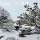 플렉스 풀빌라 이미지