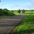 글라라목장 이미지